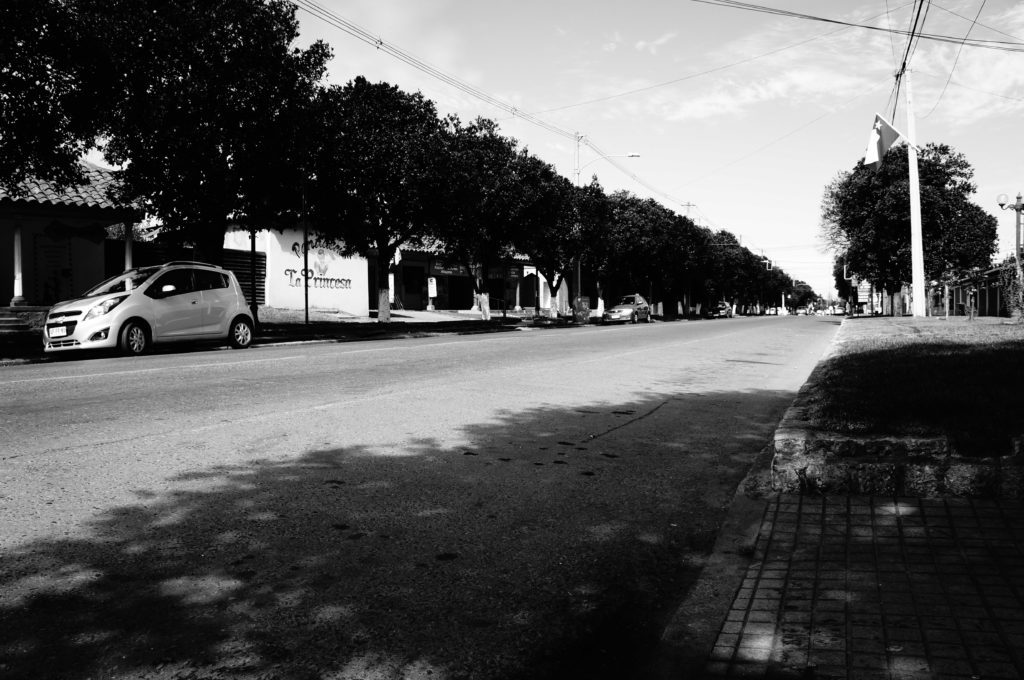 dsc05950