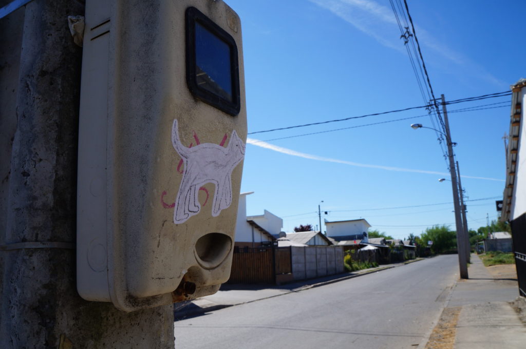 dsc06997